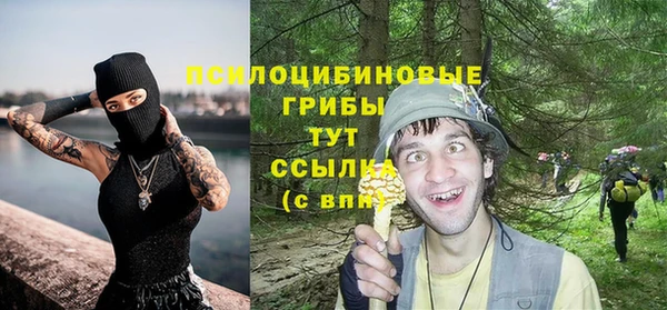 МДПВ Наволоки